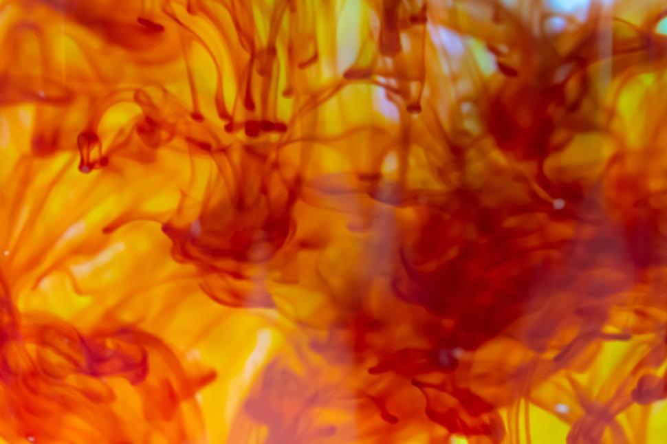 Free Image of Color Ink Water Free Stock Photo 