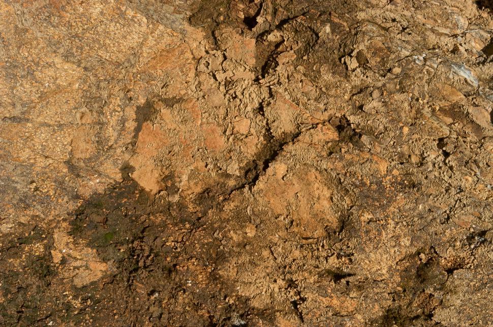 Free Image of A close up of a rock 