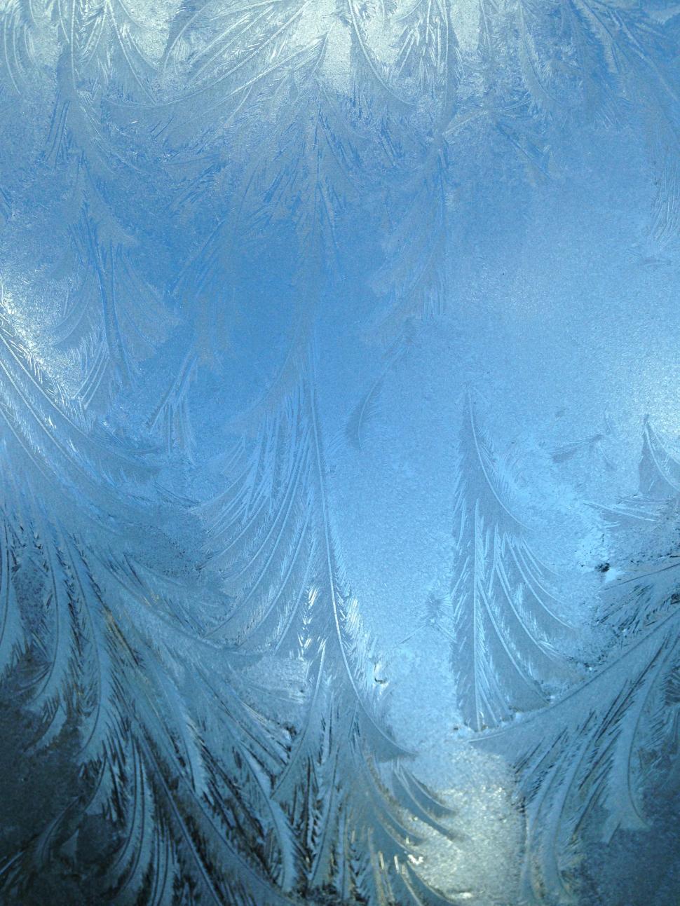 Free Image of A frosty pattern on a window 