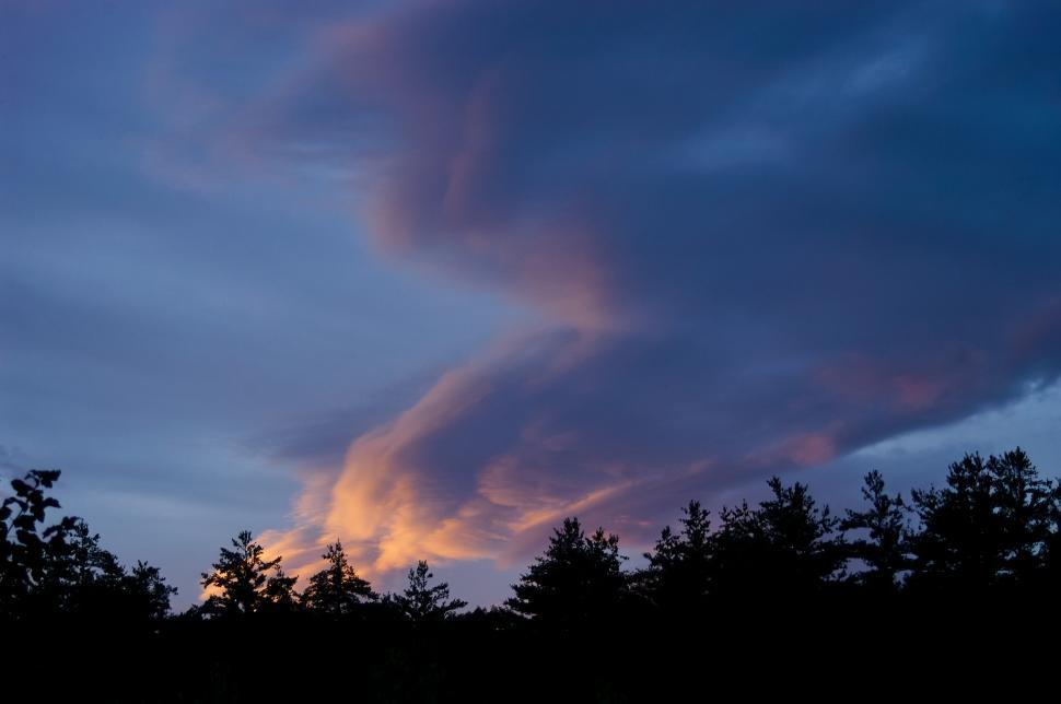 Free Image of A group of trees in the evening sky 