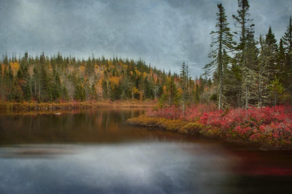 Free Image of A lake with colorful flowers and trees 
