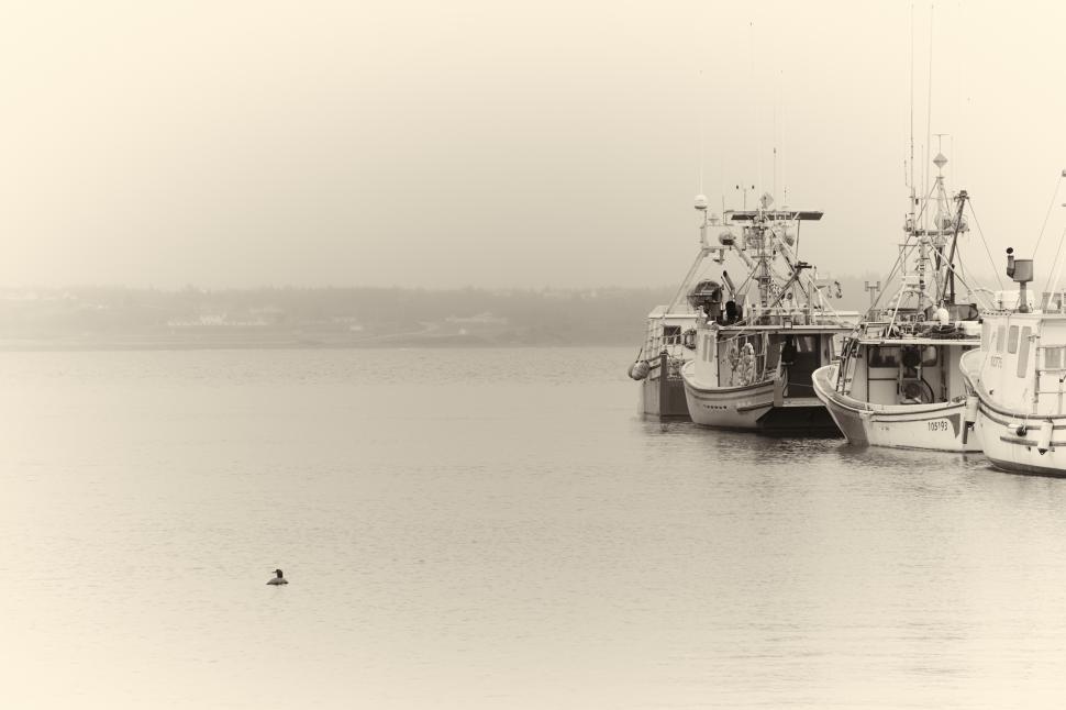 Free Image of A group of boats in a body of water 
