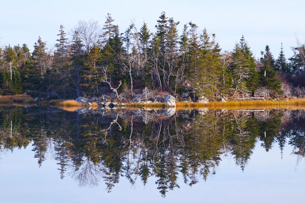 Free Image of A body of water with trees and rocks 