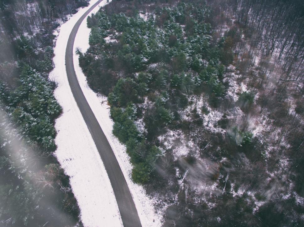 Free Image of A road through a forest 