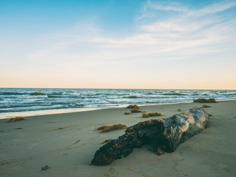 Free Image of A log on a beach 