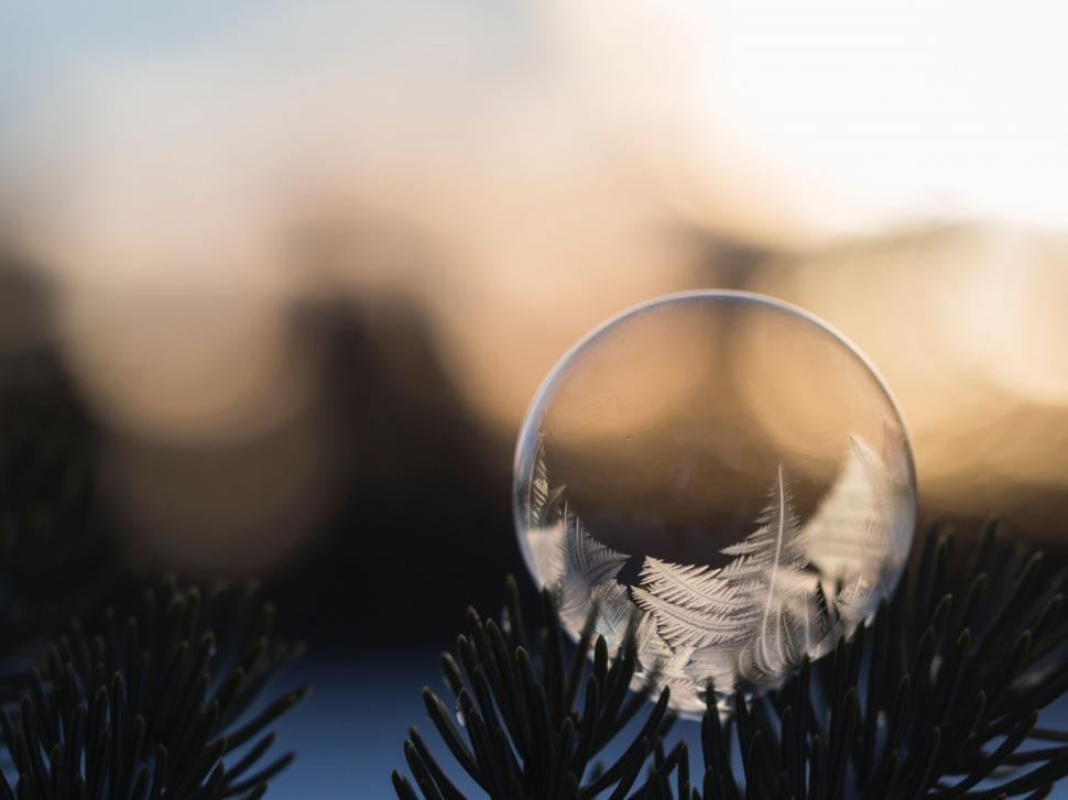 Free Image of A bubble with frost on it 