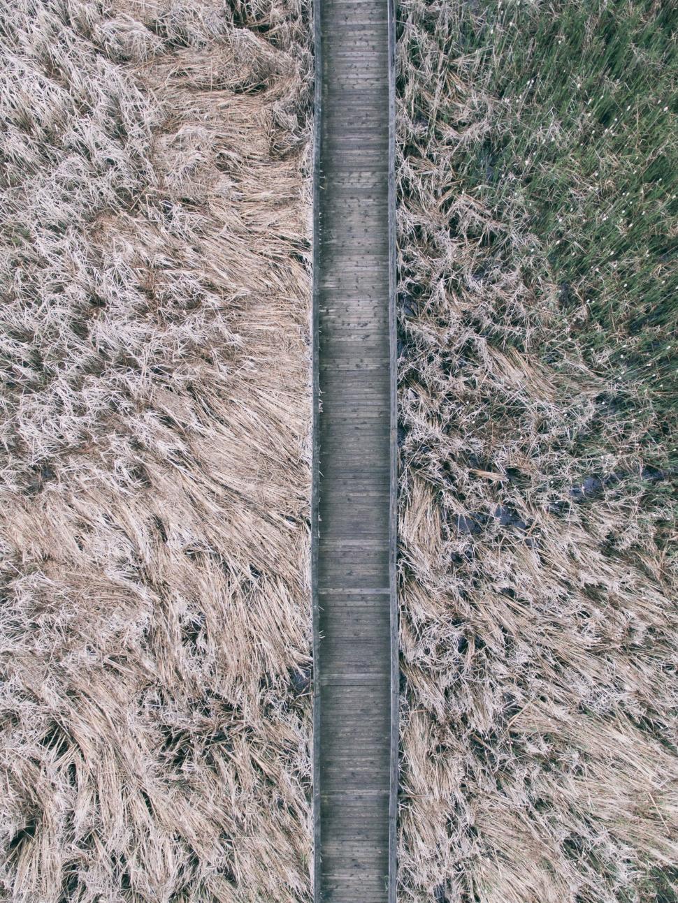 Free Image of A wooden bridge over a field of grass 