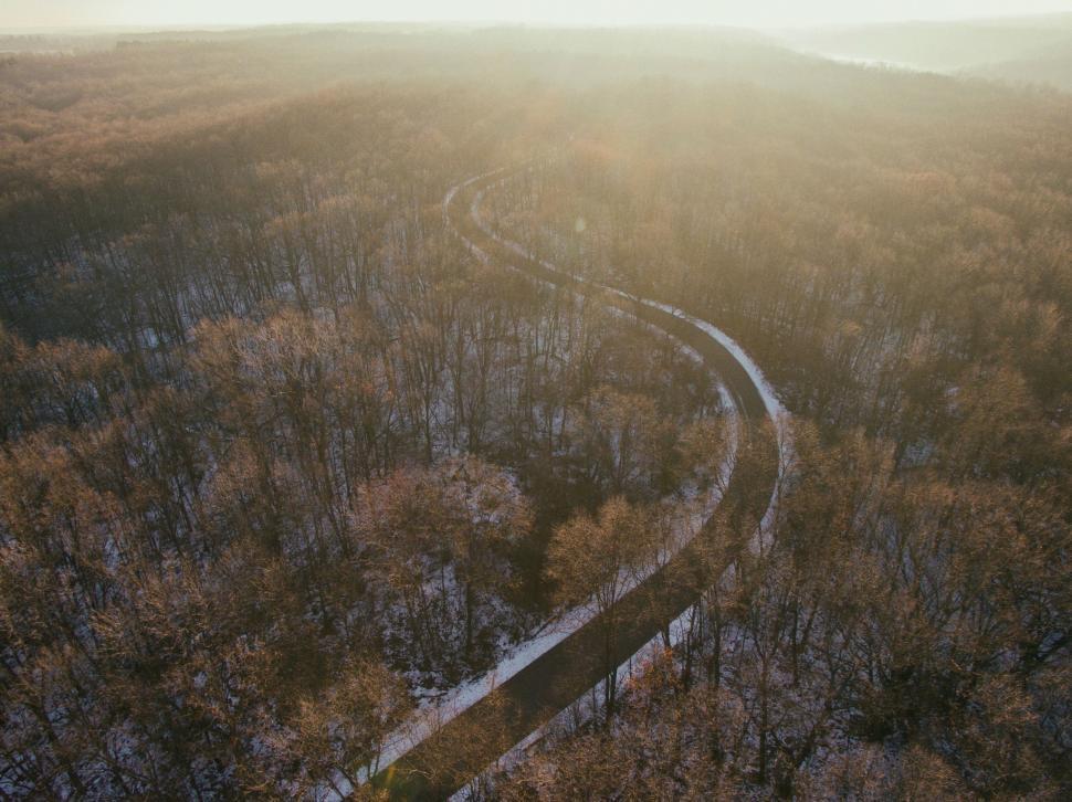 Free Image of A road through a forest 
