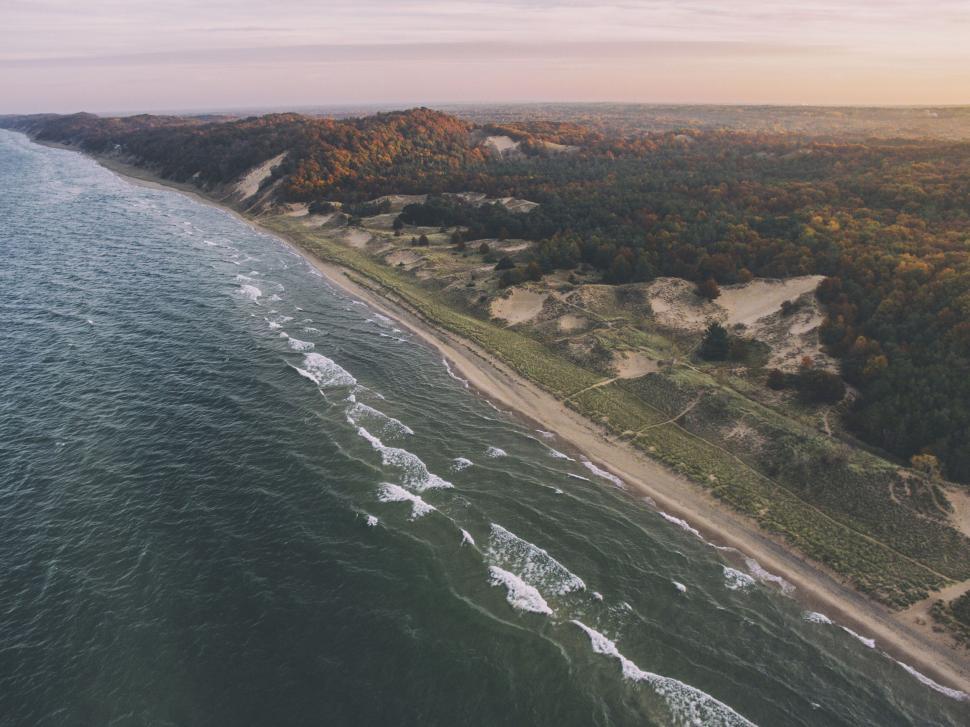 Free Image of A beach with trees and sand 