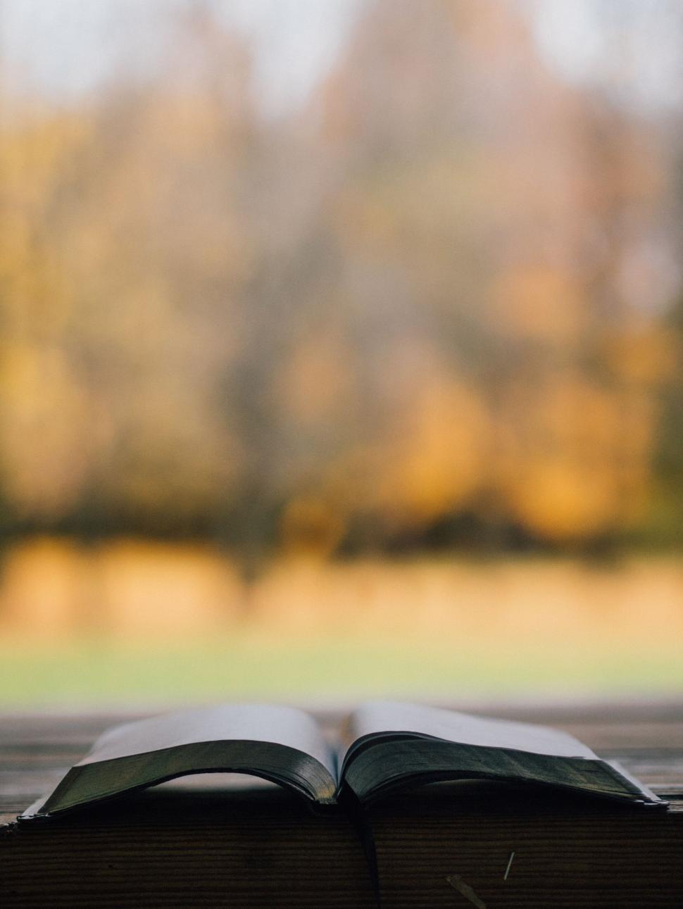 Free Image of An open book on a table 