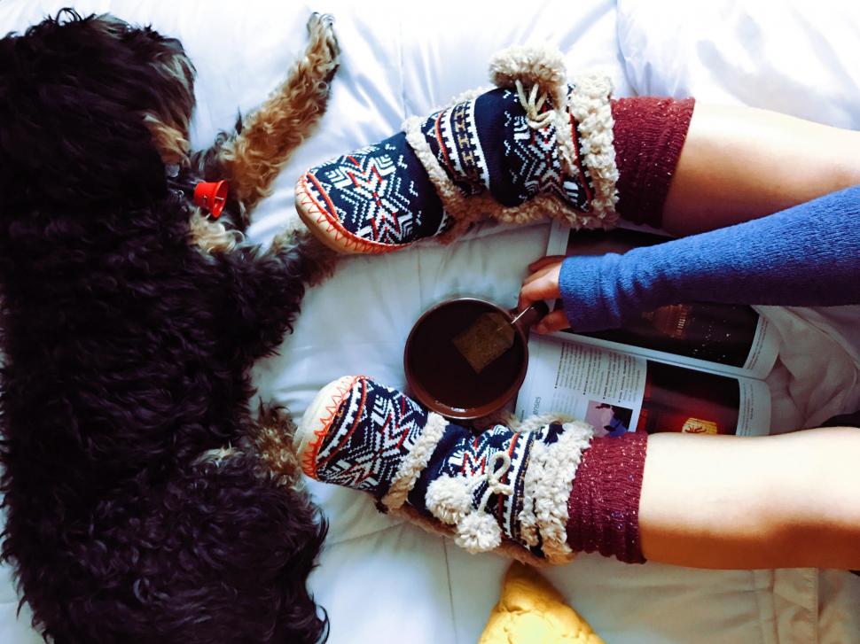 Free Image of A person with a cup of coffee and a dog lying on a bed 