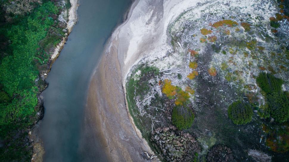 Free Image of A river flowing through a forest 