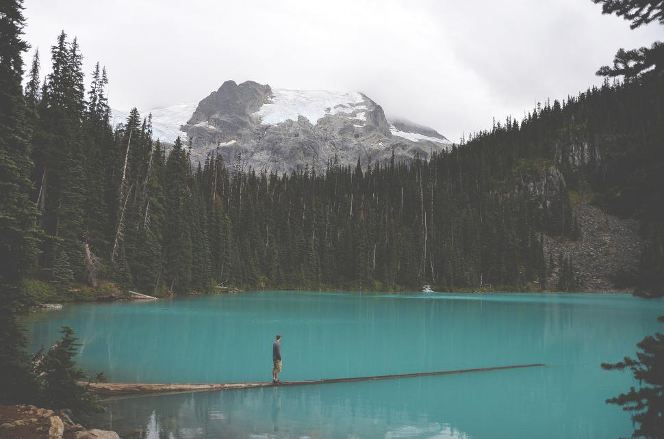 Free Image of A man standing on a log in a lake surrounded by trees 