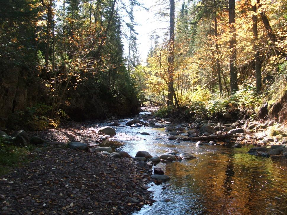 Free Image of North Shore 