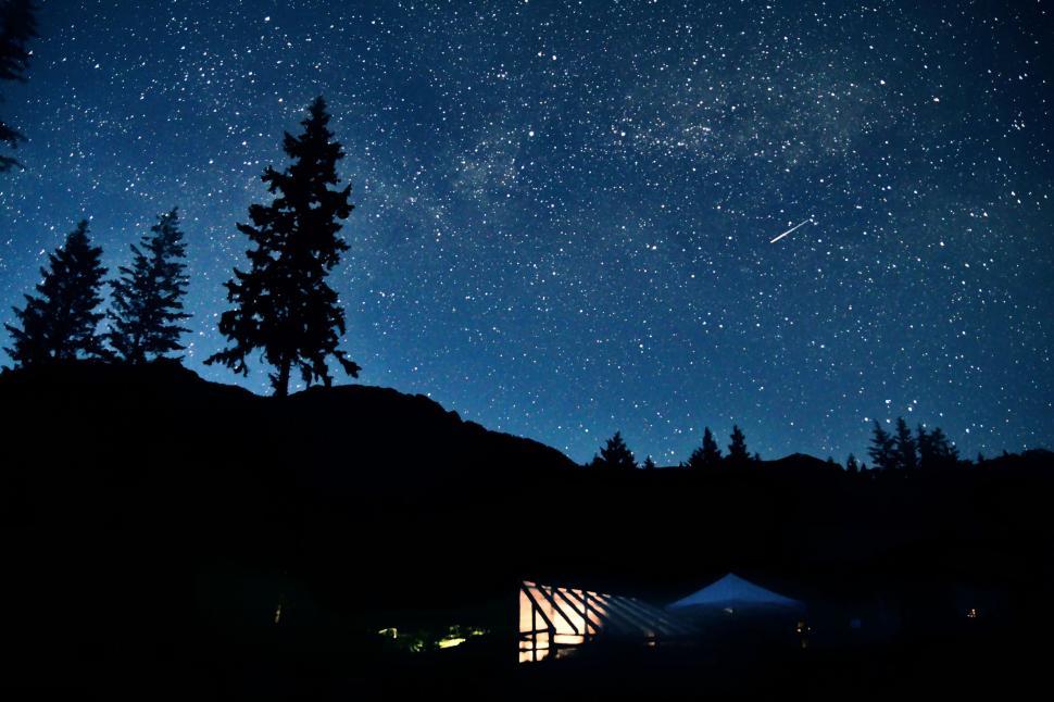 Free Image of A tent and trees at night 