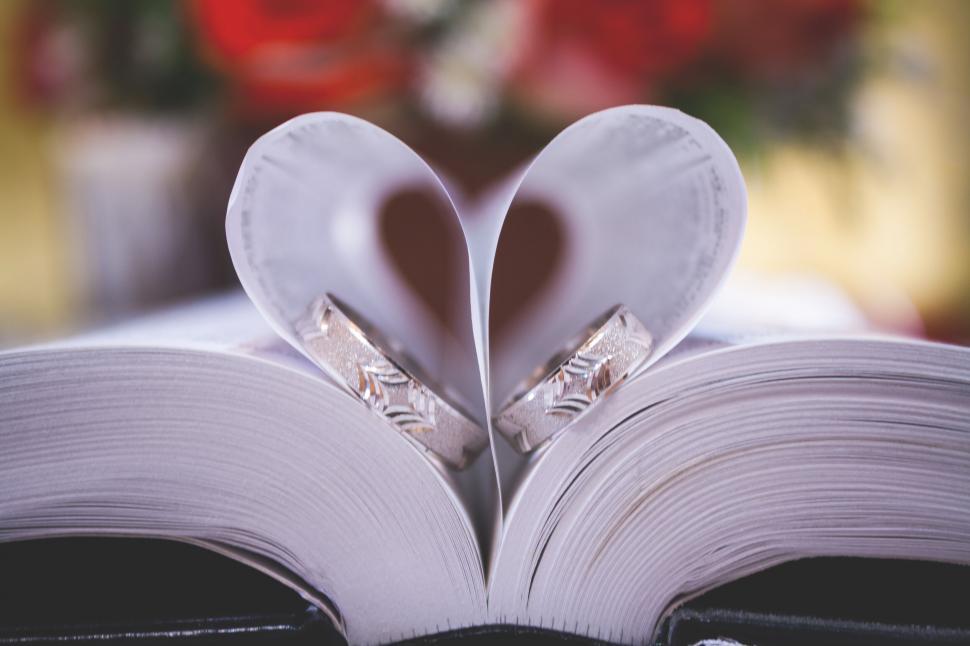 Free Image of Two rings on a book 