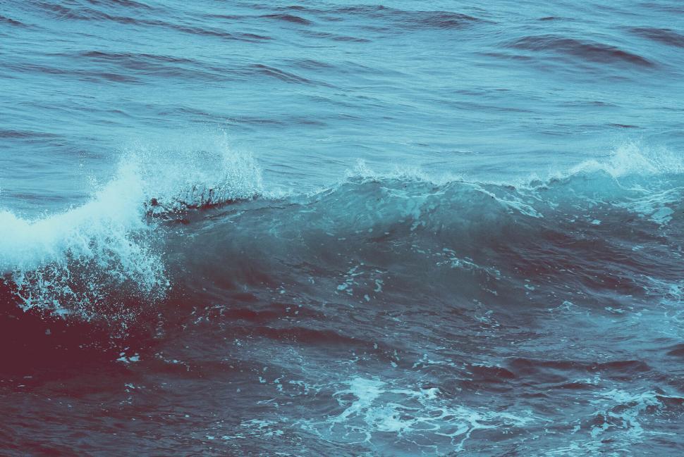 Free Image of A wave in the ocean 