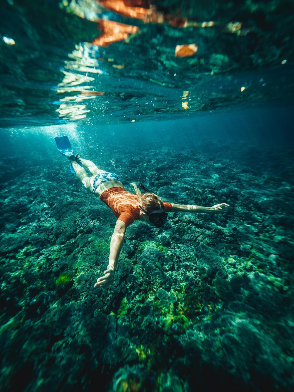 Free Image of A person swimming underwater with fins and fins 