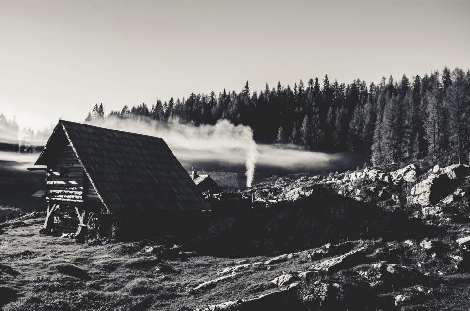 Free Image of A house in a forest 