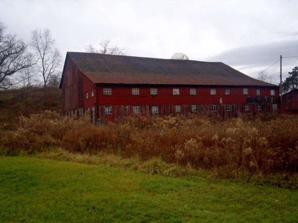Free Image of Country living 