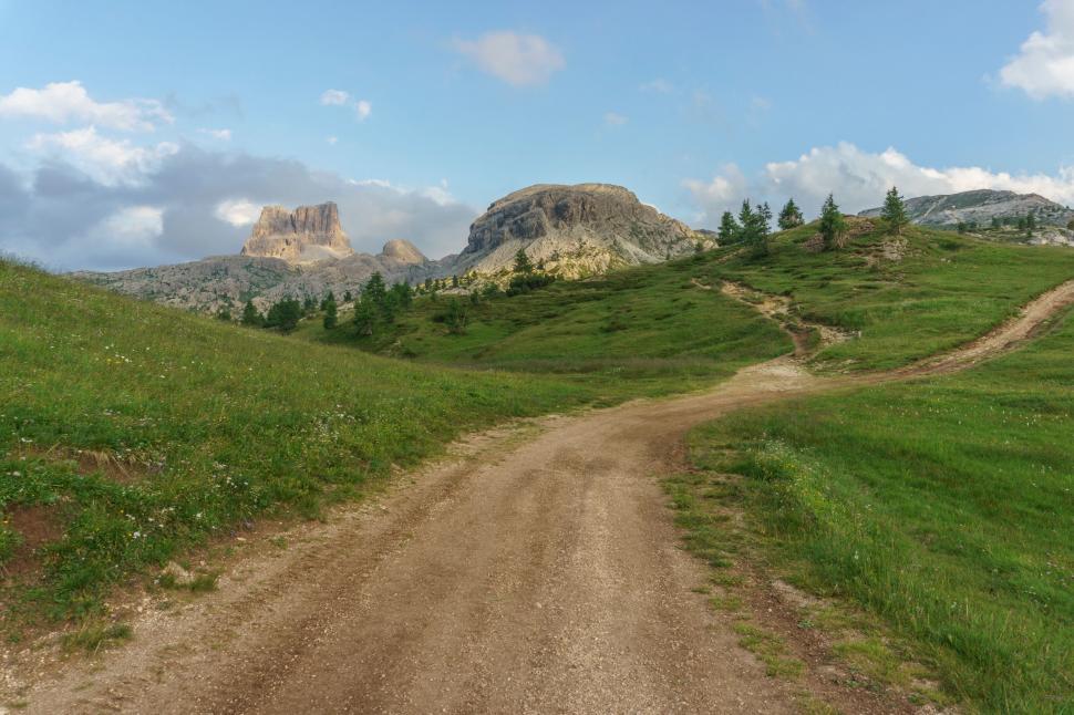 Free Image of A dirt road through a grassy field 