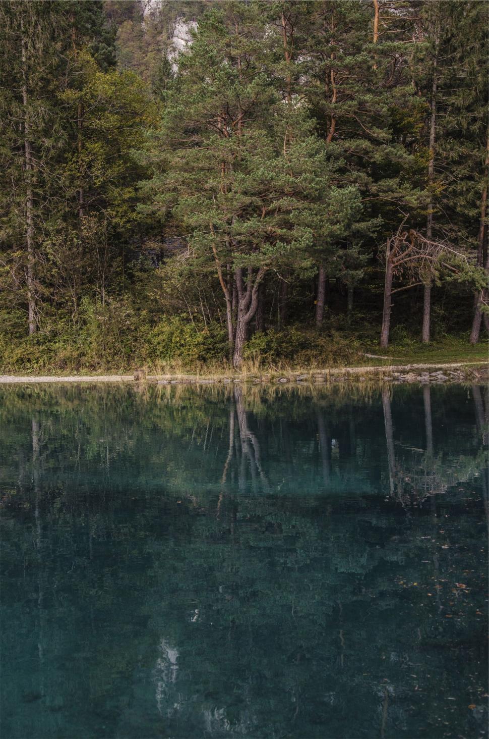 Free Image of A body of water with trees and bushes 