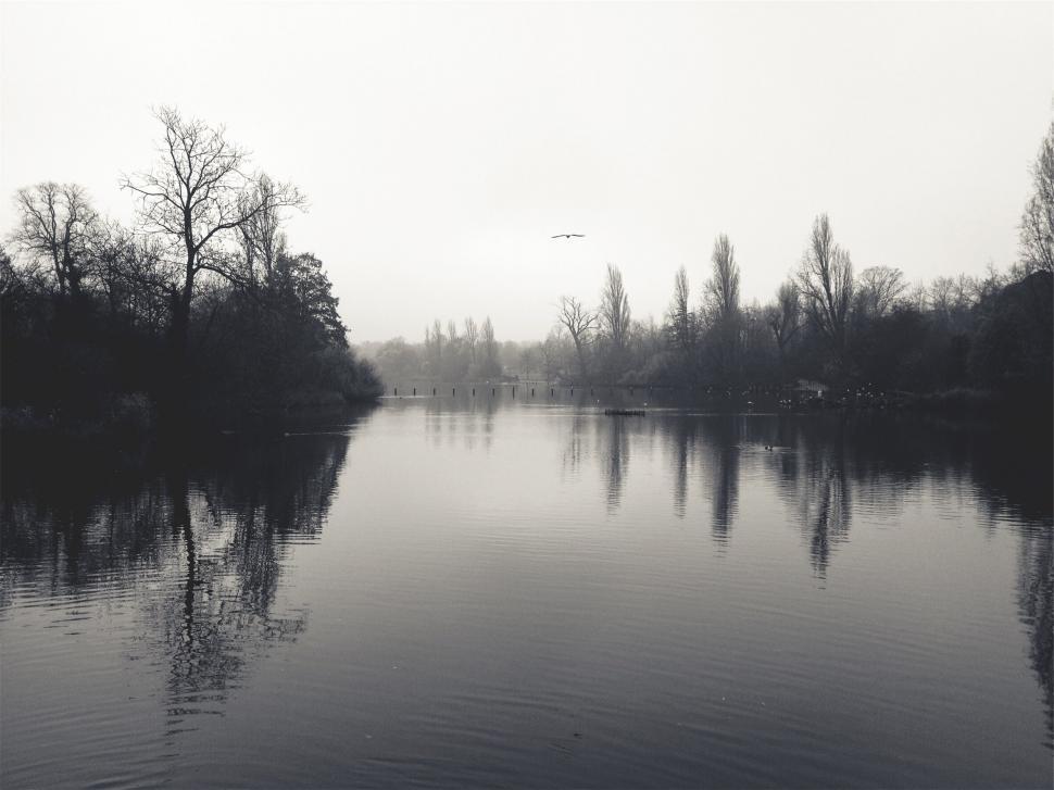 Free Image of A body of water with trees and a plane flying over it 