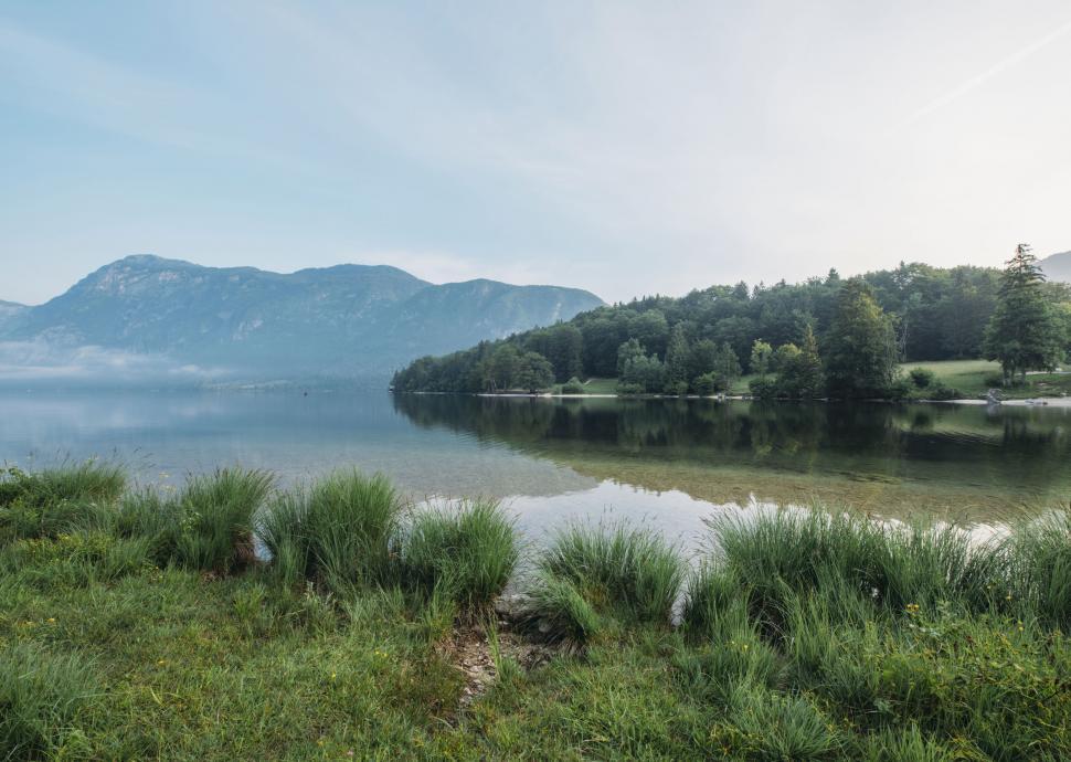 Free Image of A lake with grass and trees 