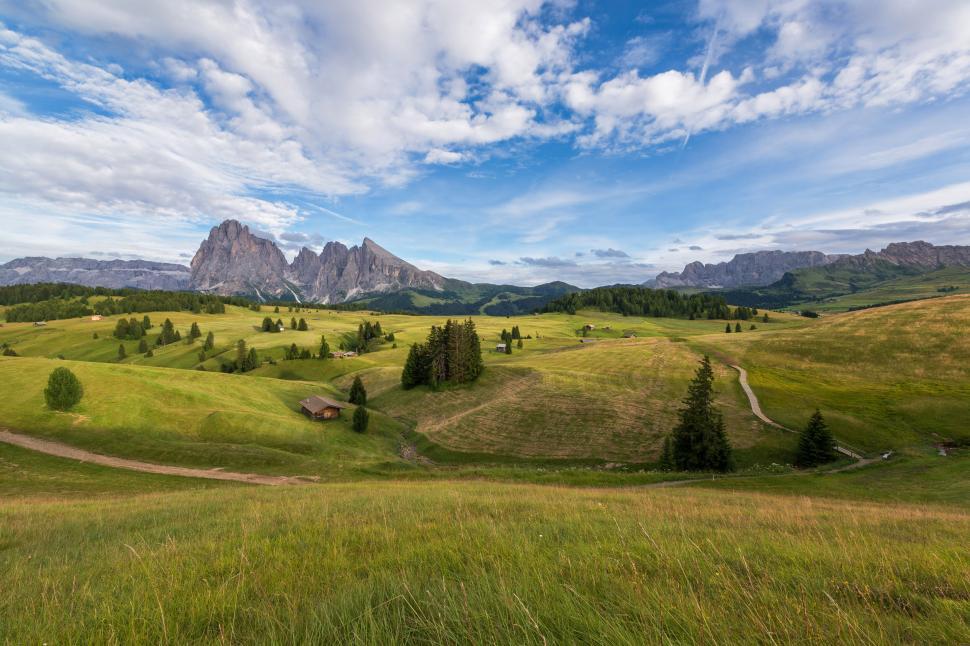 Free Image of A green field with trees and mountains in the background 
