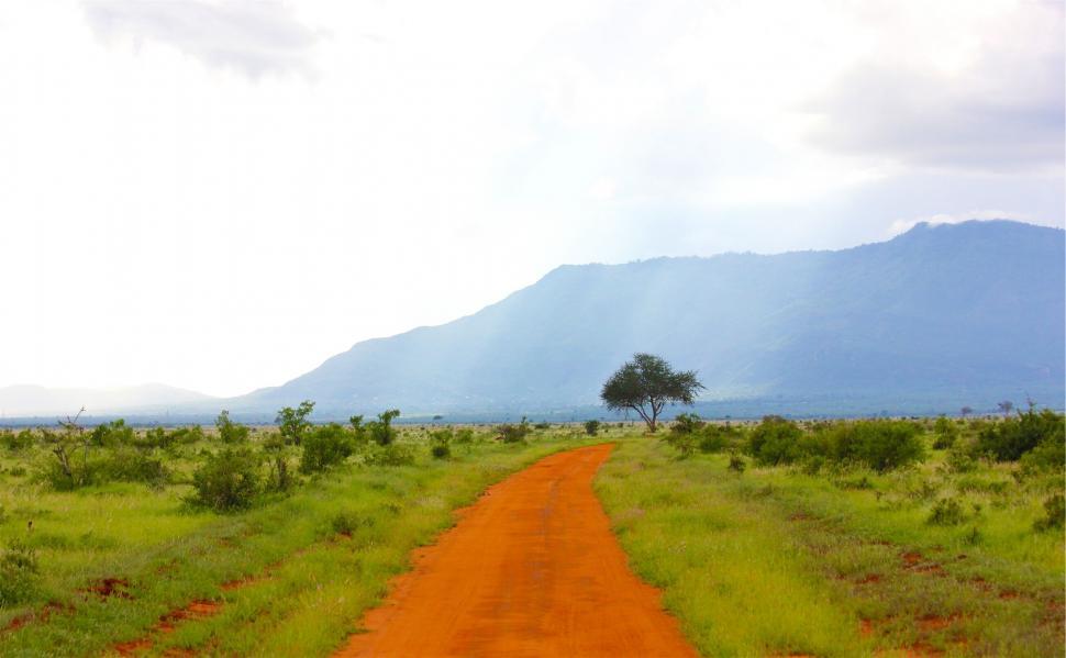 Free Image of A dirt road through a grassy field 