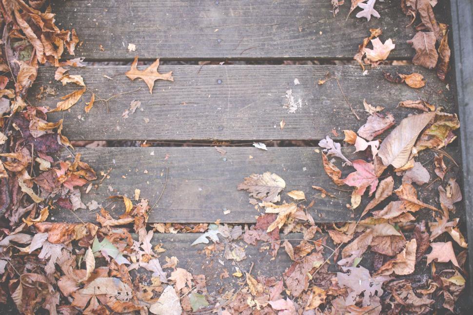 Free Image of A wooden deck with leaves on it 