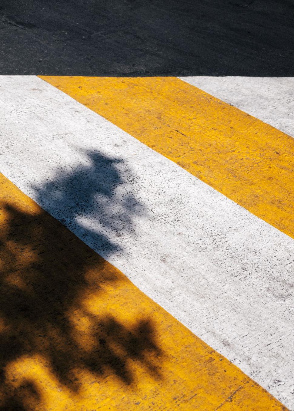 Free Image of Person Riding Skateboard Down Street 