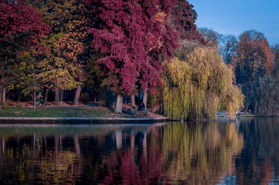 Free Image of A lake with trees and a body of water 