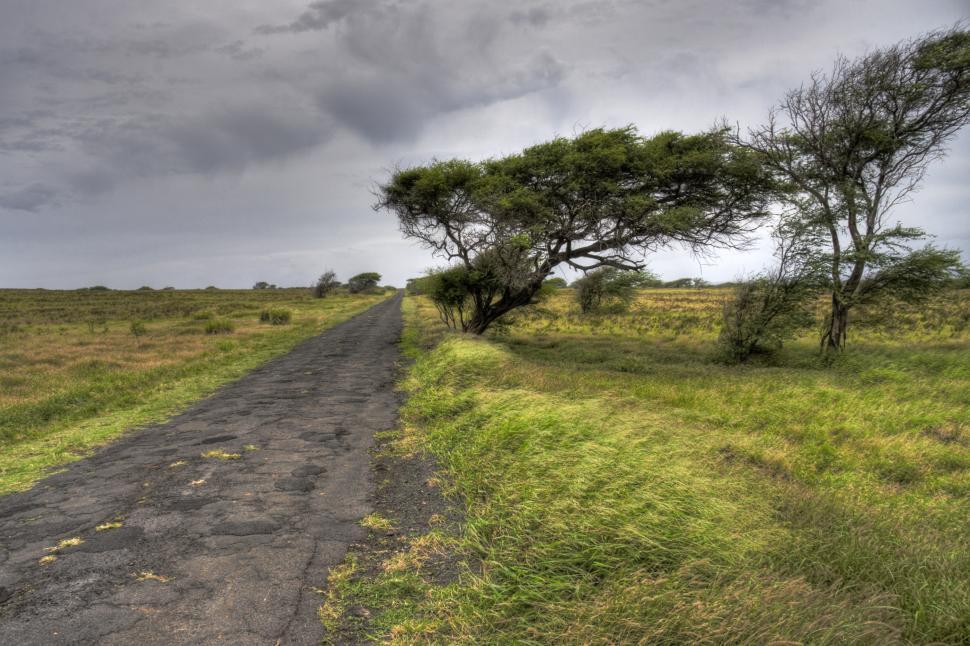 Free Image of Rough Road 