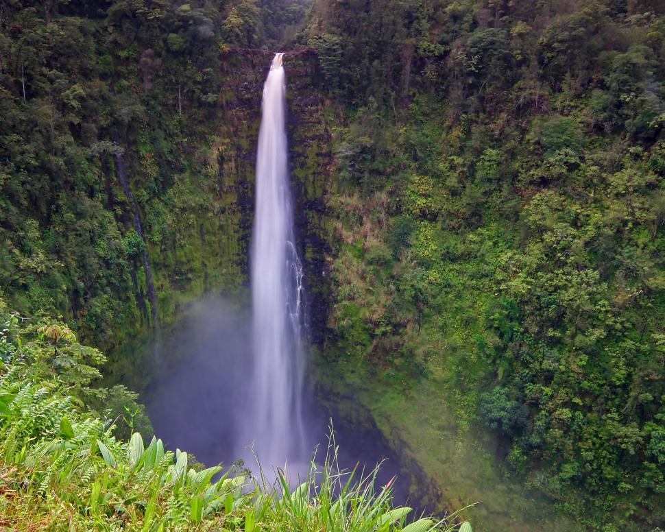 Free Image of Akaka falls 