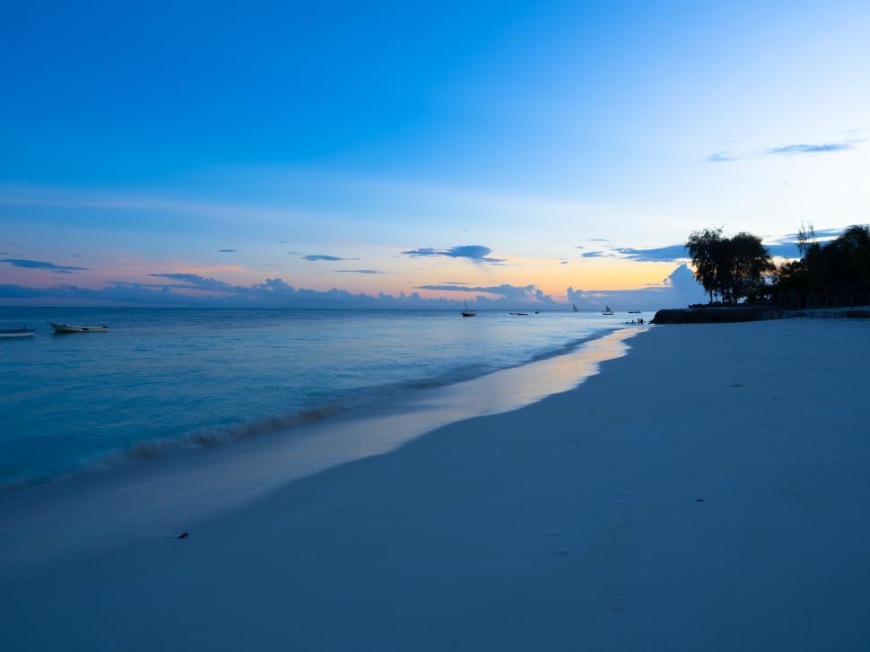 Free Image of A beach with trees and water 