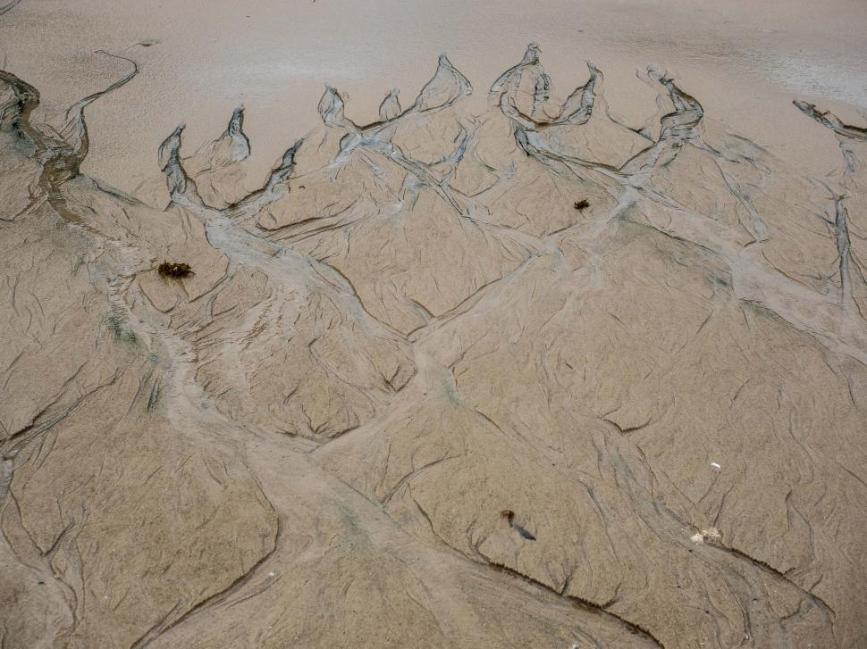 Free Image of A sand with patterns in it 