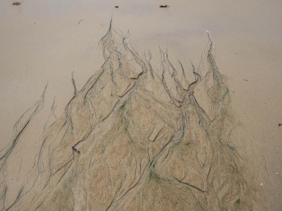 Free Image of A close up of a beach 