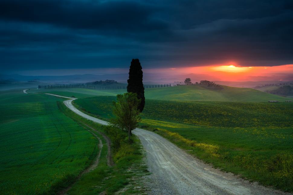 Free Image of A dirt road with a tree in the middle of a field 