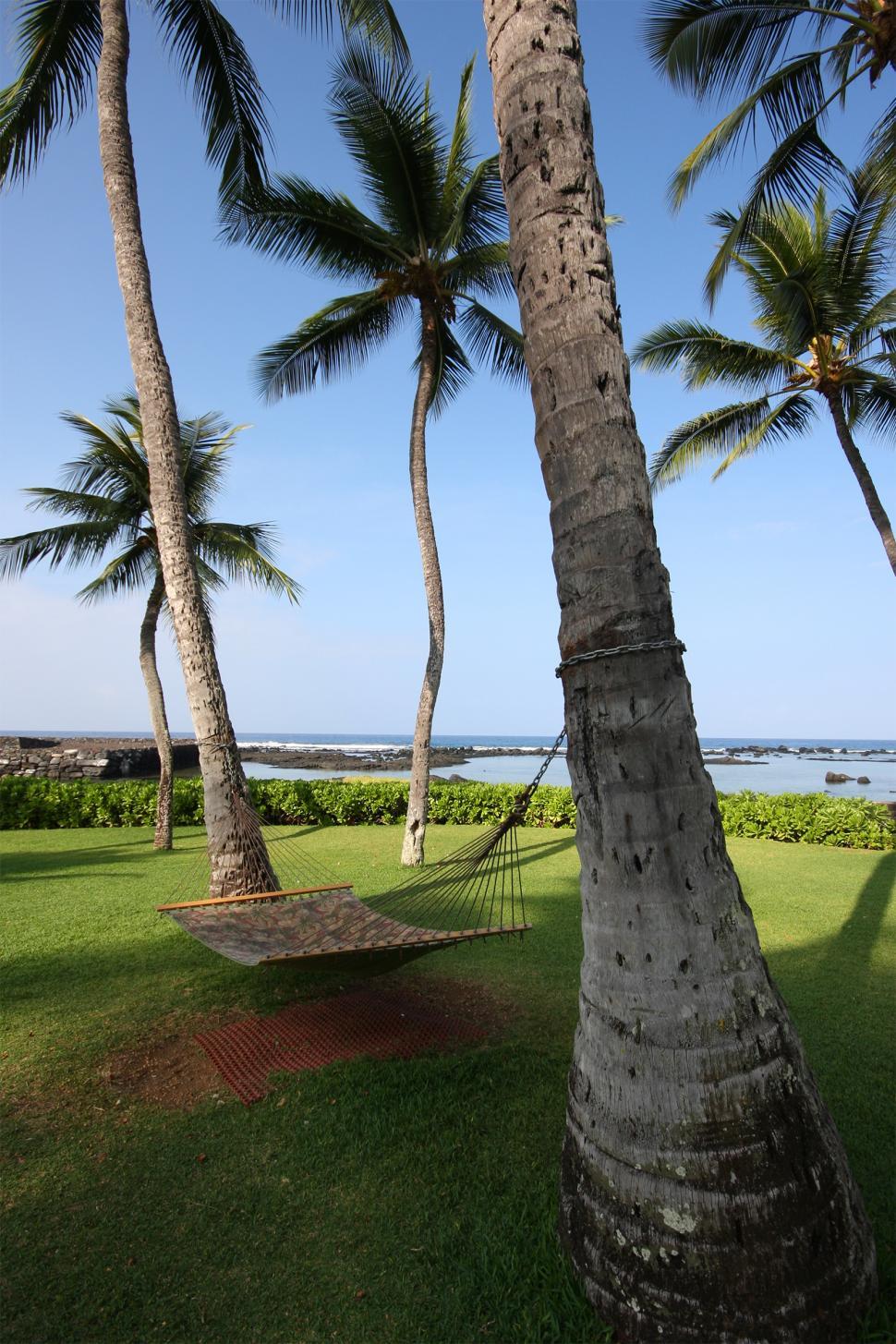 Free Image of Tropical Resort 