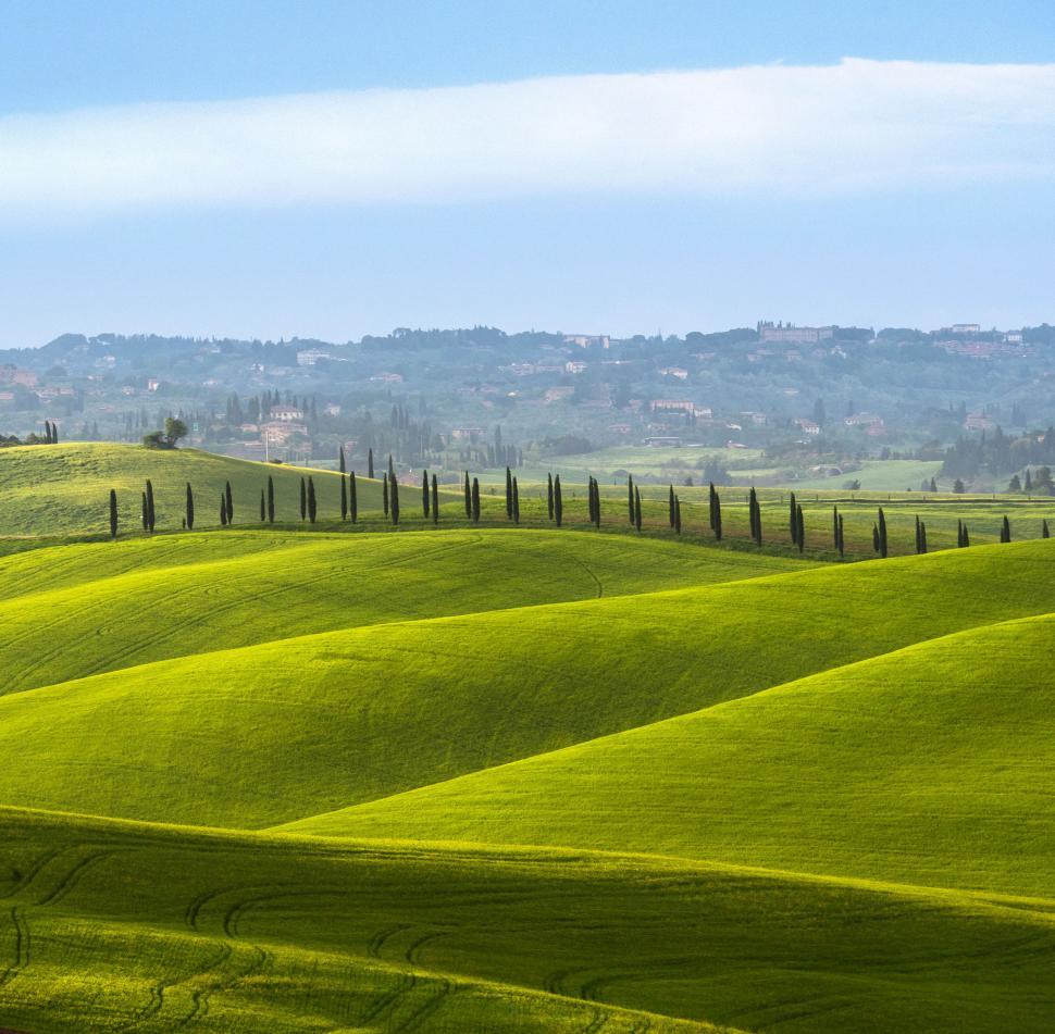 Free Image of A green rolling hills with trees and a road 