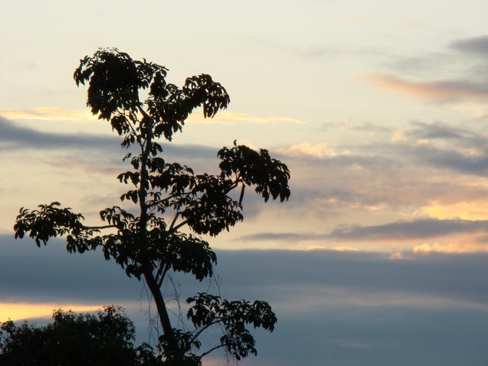 Free Image of Sundown 