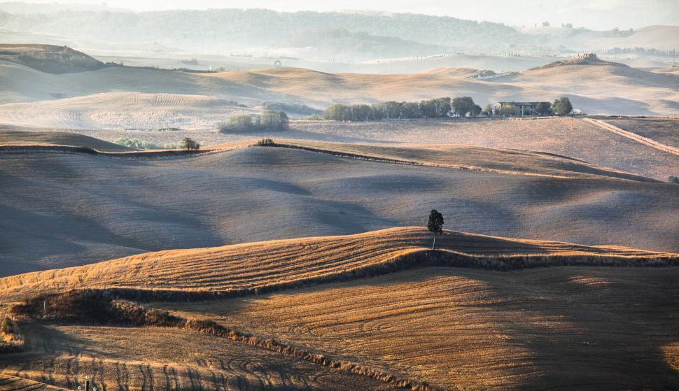Free Image of A rolling hills with trees and a house 