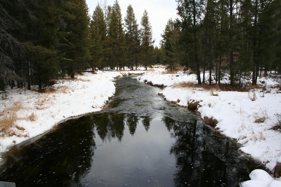 Free Image of Snow Covered Forest With Stream 