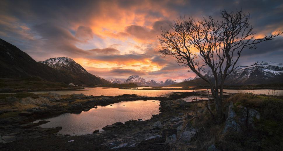 Free Image of A lake with a tree and mountains in the background 
