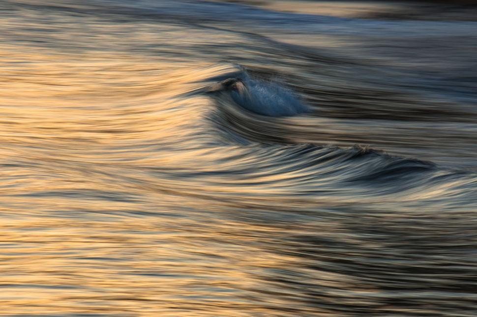 Free Image of A wave in the water 