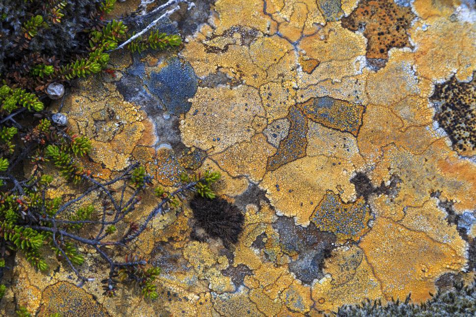 Free Image of A close up of a rock 