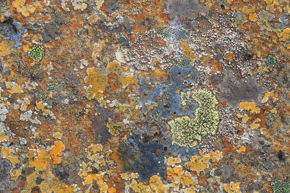 Free Image of A close up of a rock 