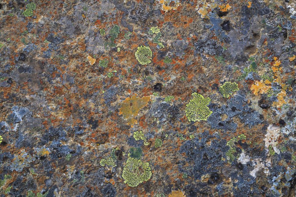 Free Image of A close up of a rock 