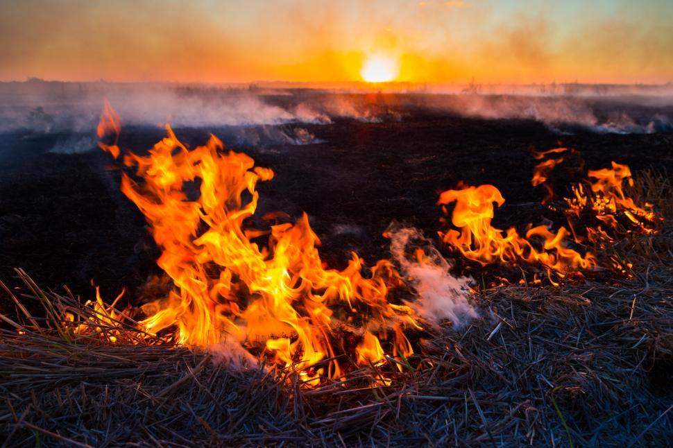 Free Image of A fire in a field 